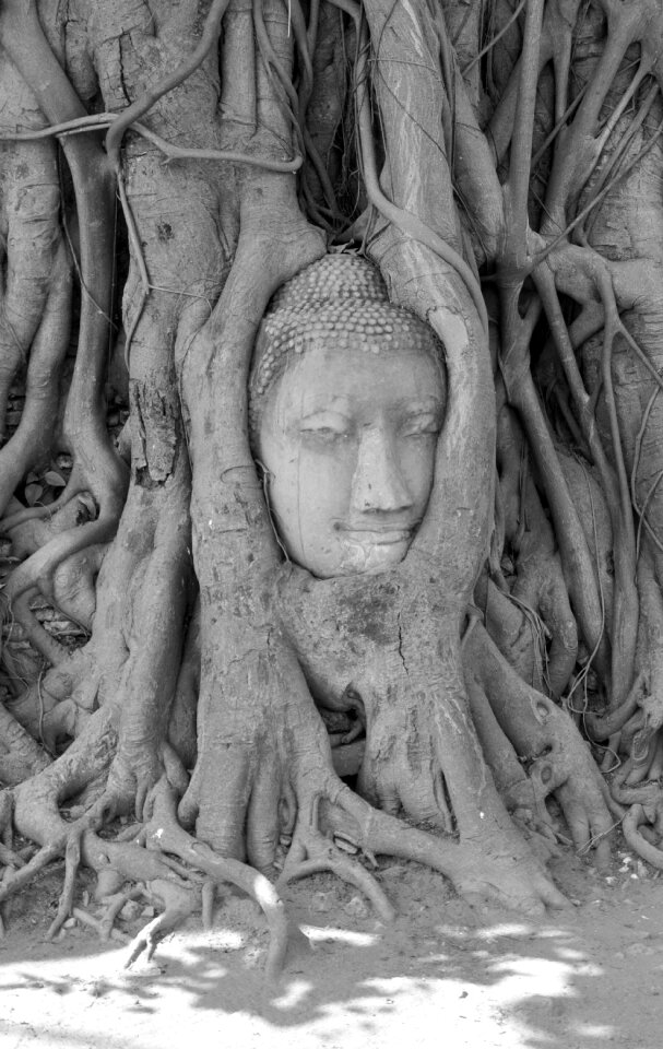 Asia face temple
