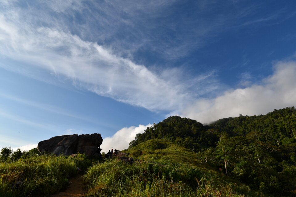 Jamur indonesia landscape