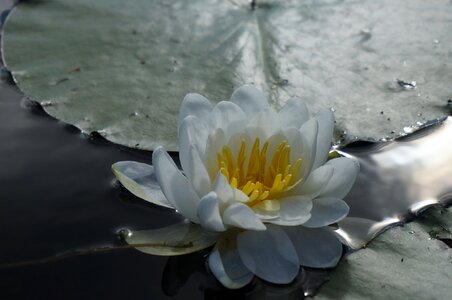 River water nature