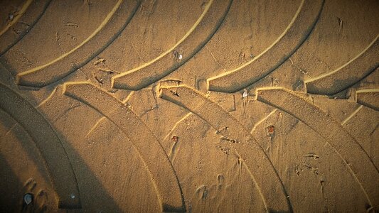 Mature reprint tire tracks photo