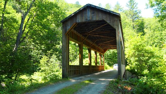 Forest vermont usa