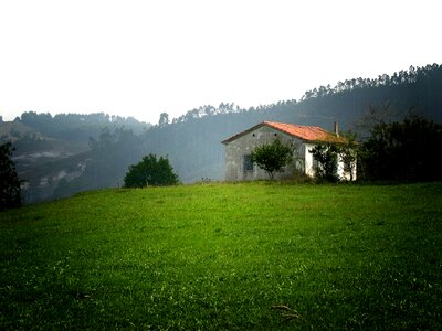 Nature meadows spain