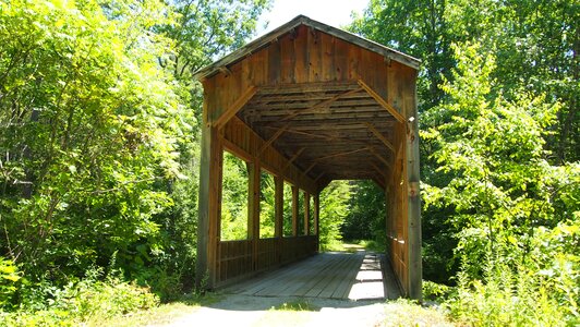 Forest vermont usa