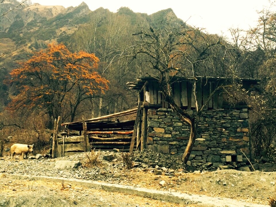 Tibetan cabins shuangqiaogou siguniangshan