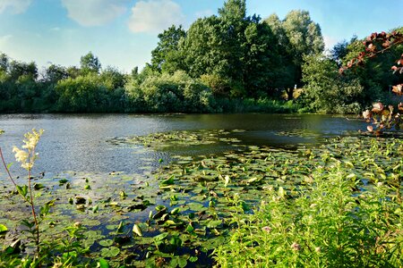 Landscape scenic summer photo