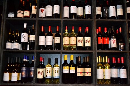 Vineyard drink wine production photo