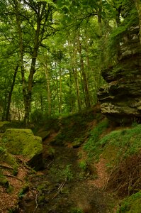 Height green echternach photo