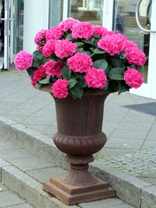 Decor standvase socket