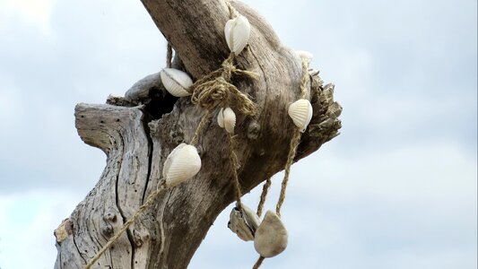 Grove decoration log