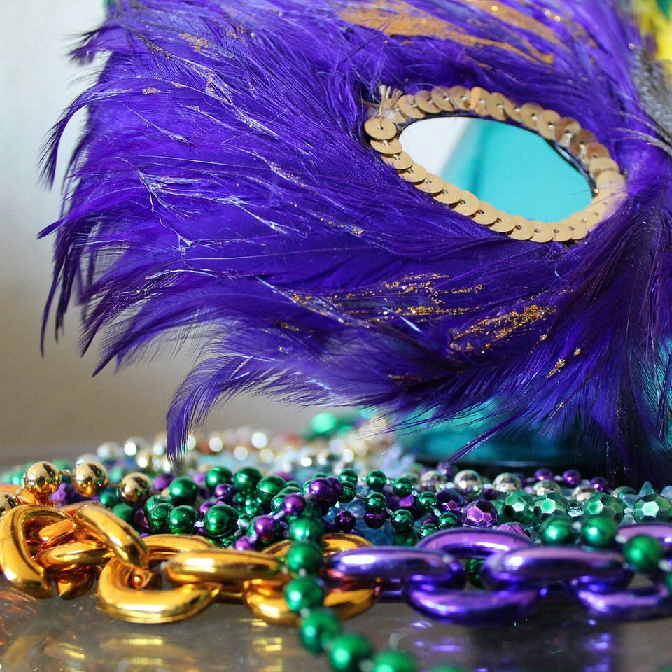 Colorful new orleans feathers