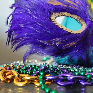 Colorful new orleans feathers