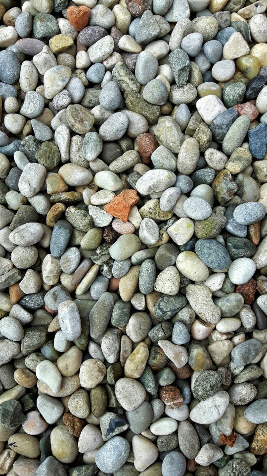 Sassi fossils rocks