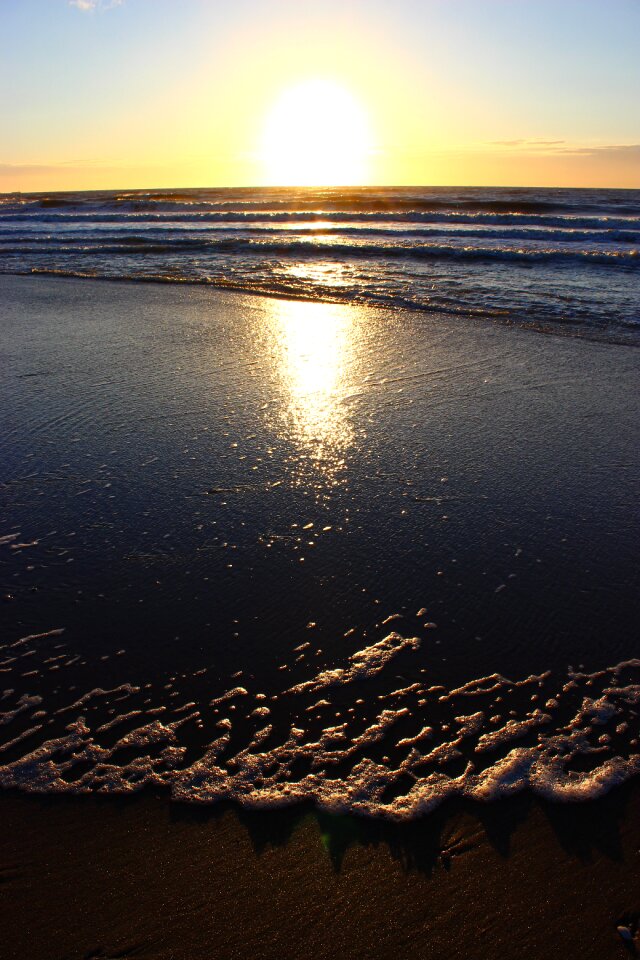 North sea beach summer