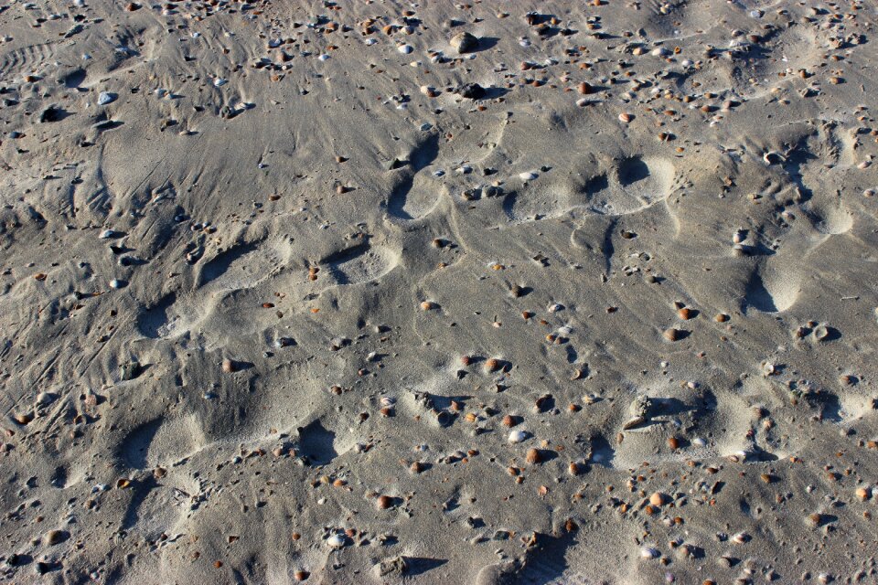 North sea beach nature photo