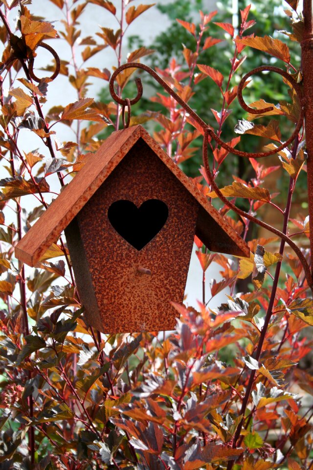 Relationship brown rust