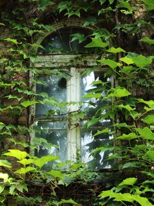 Abandoned house trailer photo