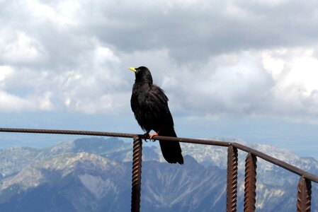 Fly garmisch outdoor photo