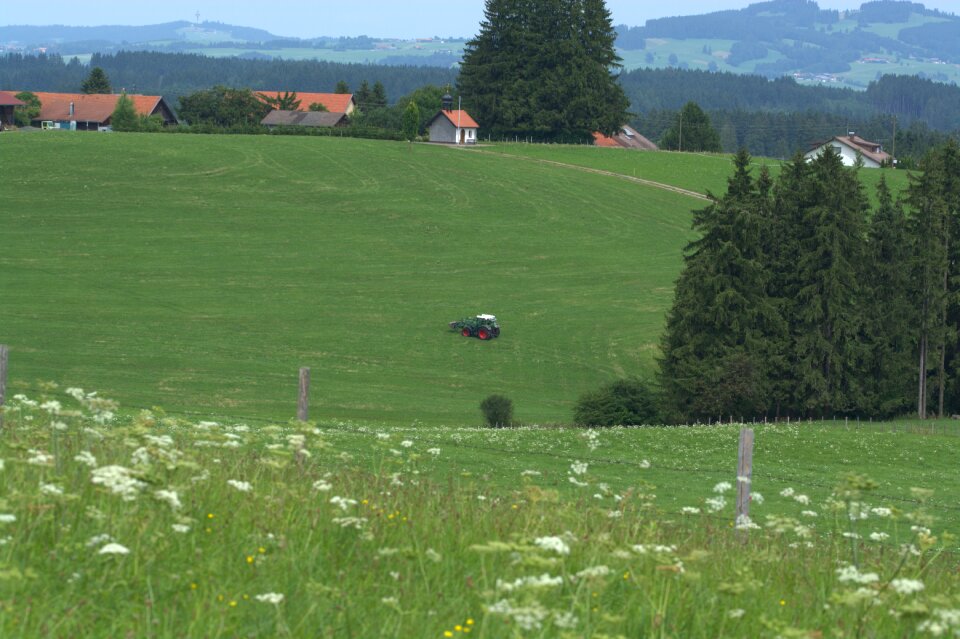 Agriculture nature meadow