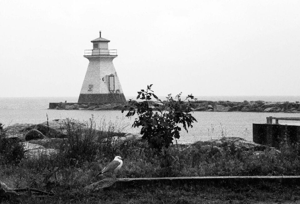 Maritime coastline