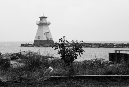 Maritime coastline