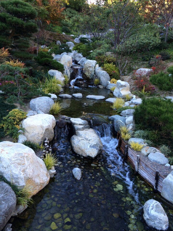 Garden bridge