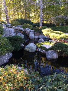 Garden nature