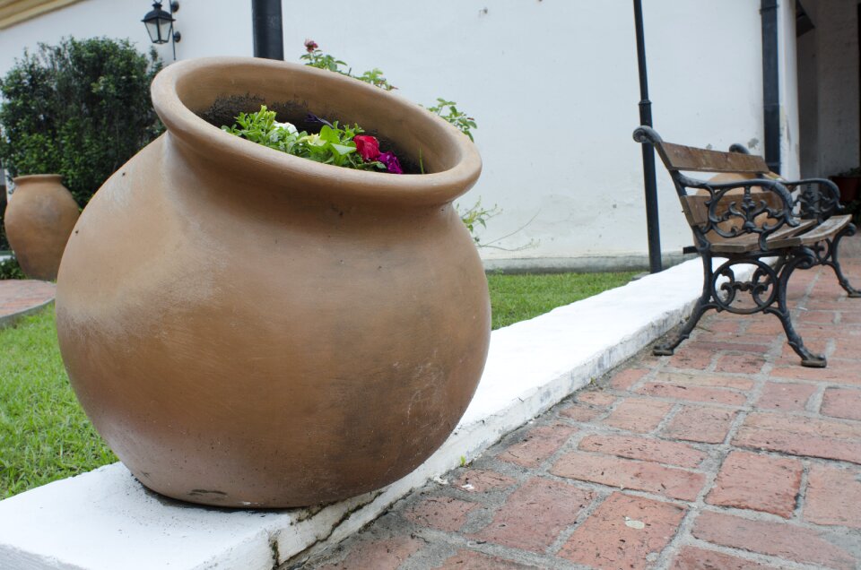 Crock pitcher garden