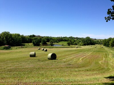 Rural landscape