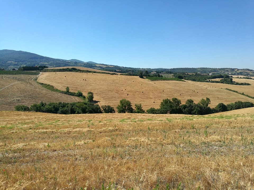 Tuscany country landscapes