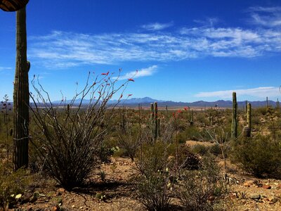 Arizona nature landscape beautiful landscape