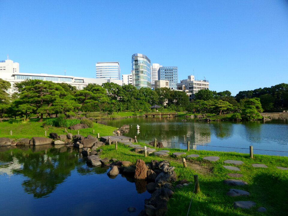 Green buildings blue