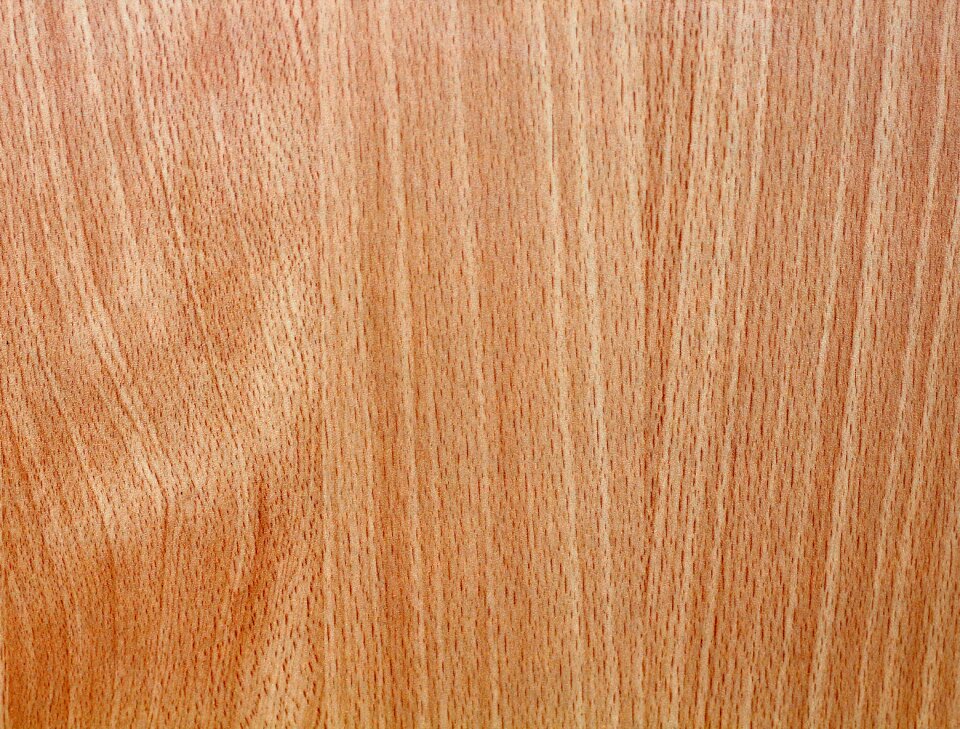 Texture wood texture background