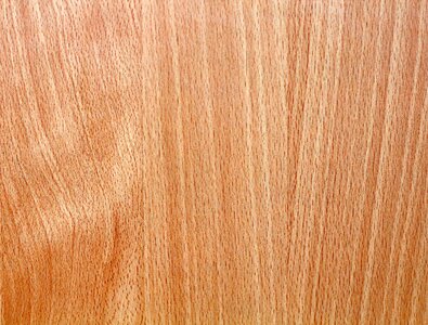 Texture wood texture background photo