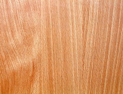Texture wood texture background