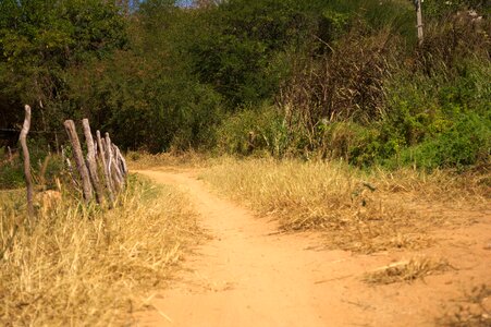 Dirt road backcountry brazil