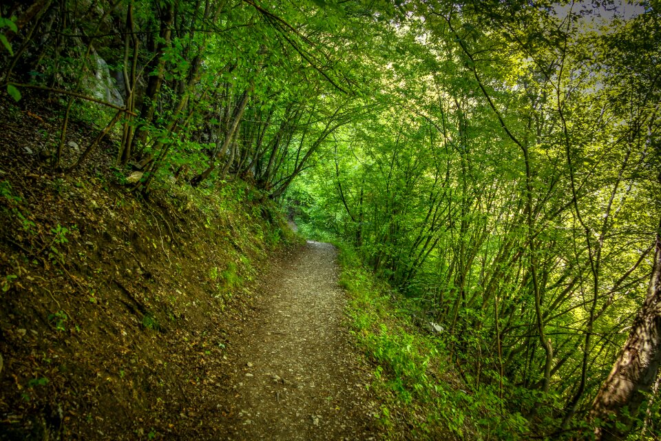 Green mountain natural