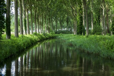 Channel light nature