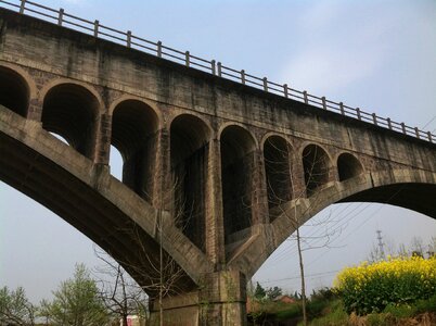 Bridge canola flower field drains