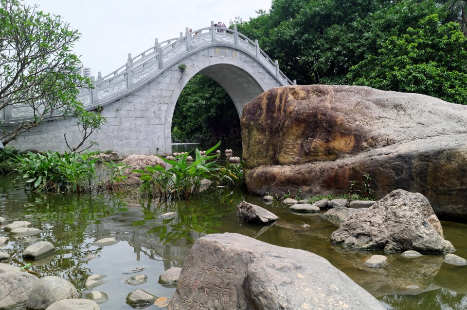 Nature garden landscape