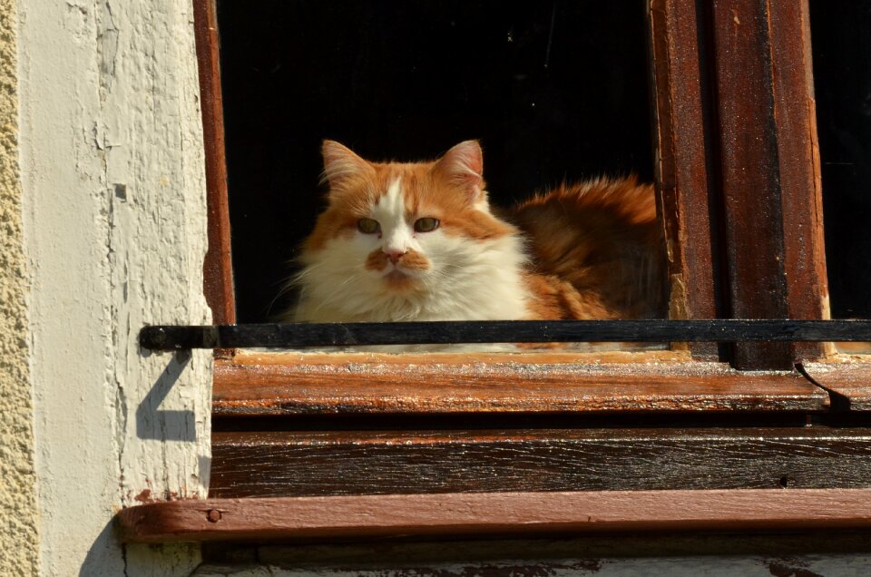 Are window window sill