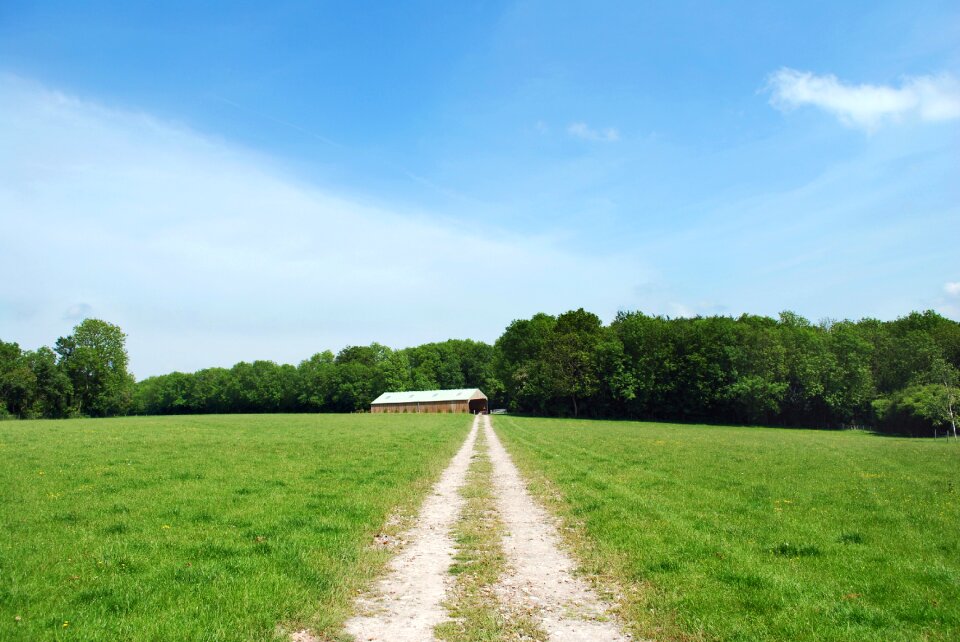 Countryside landscape england