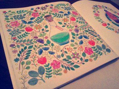 Coloring books for adults art recreation