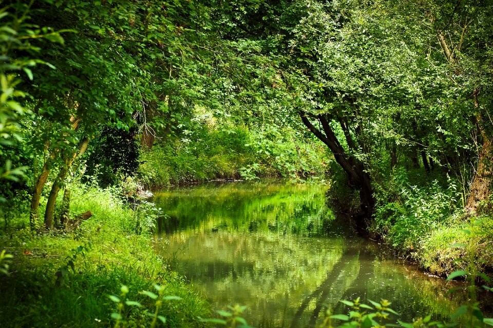 Water watercourse creek
