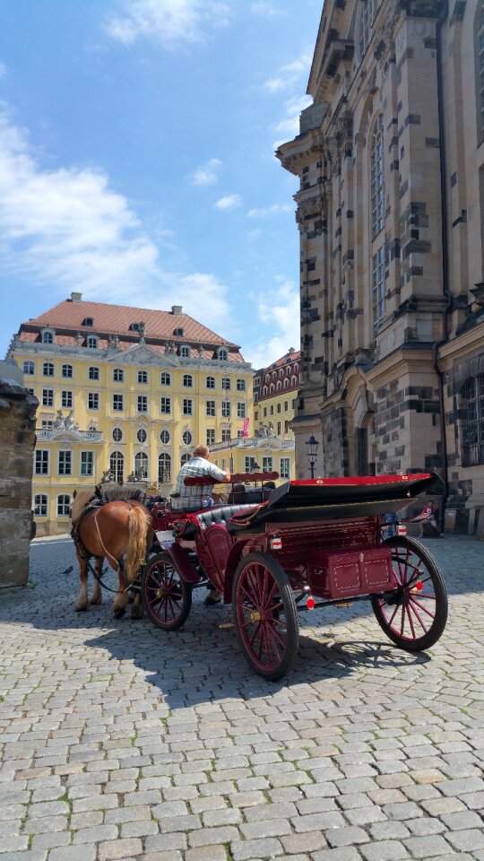 Frauenkirche cart horse
