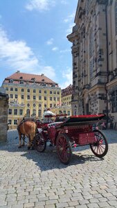 Frauenkirche cart horse