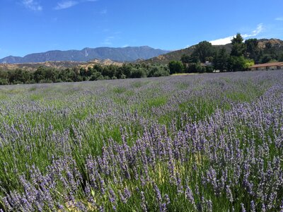 California mountains photo