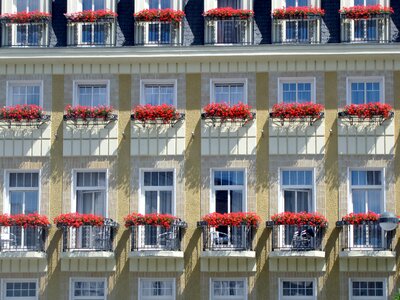 Hotel windows repetition