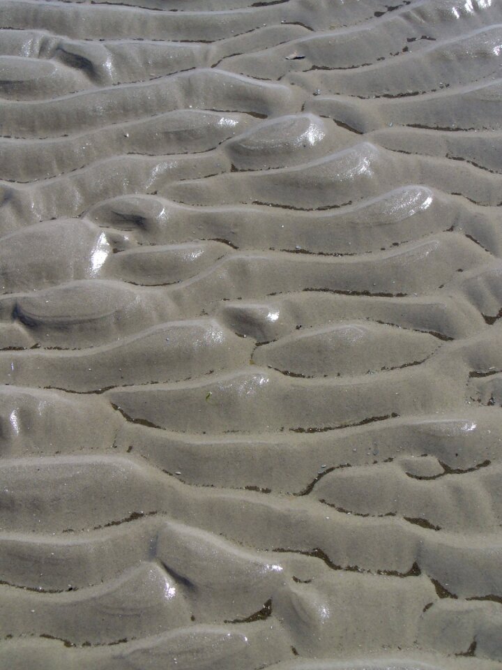 Sand beach vacations