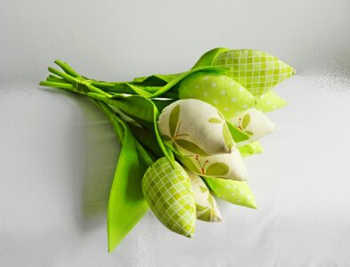 Posy flowers composition