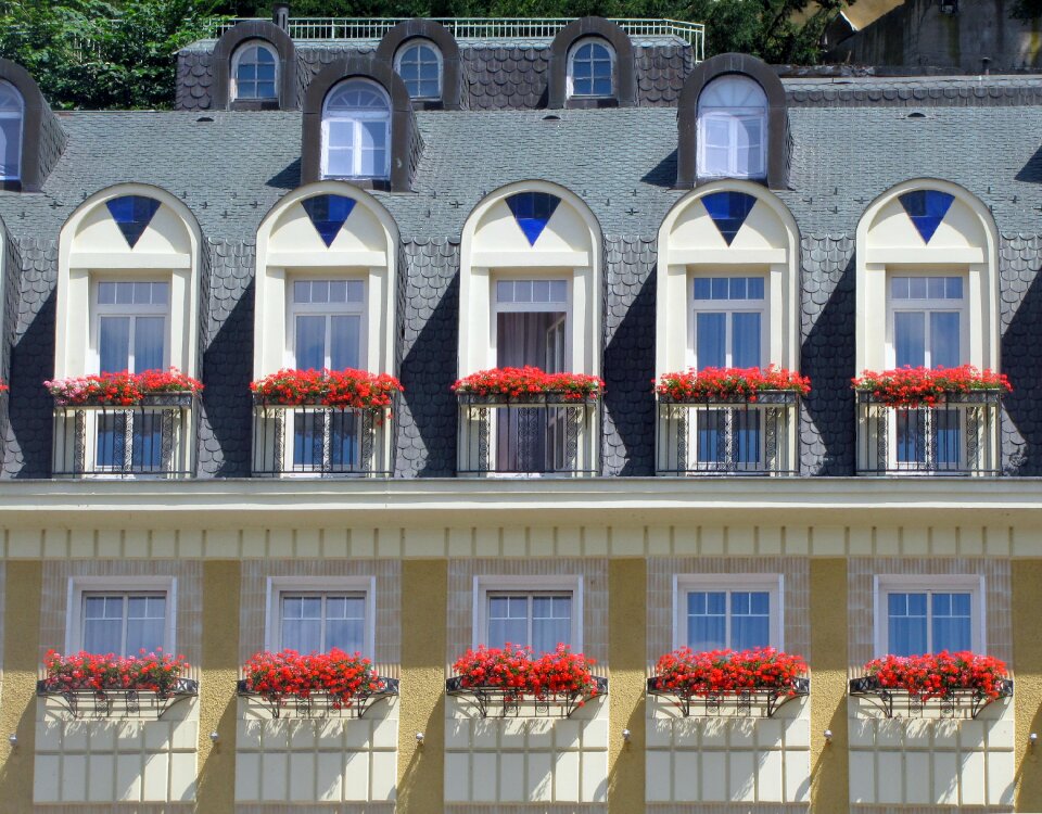 Flowers hotel windows